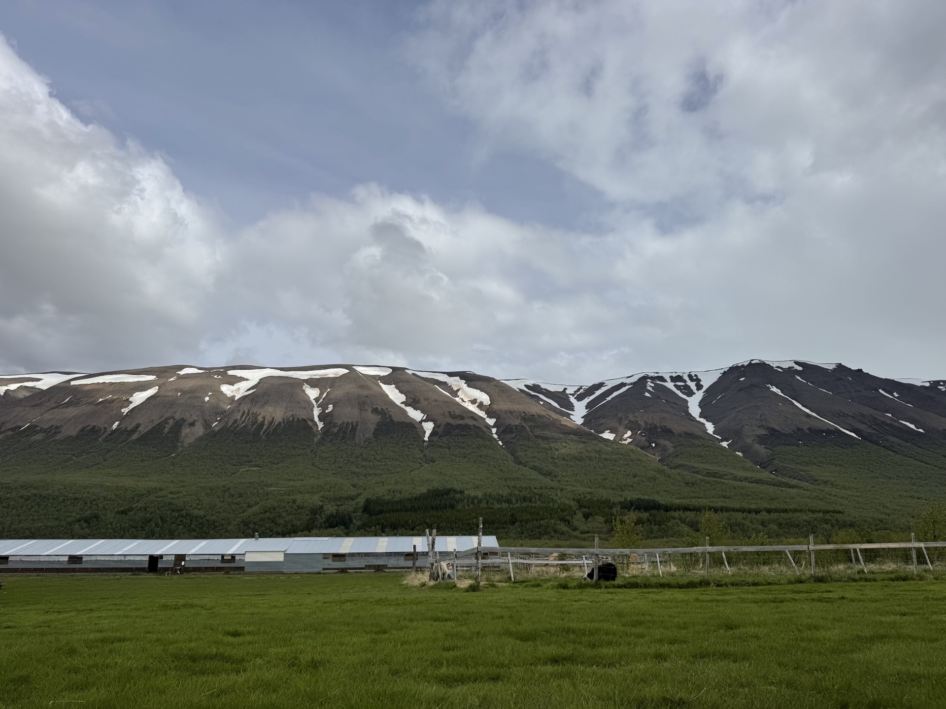 Mountains, barn and field in northern Iceland