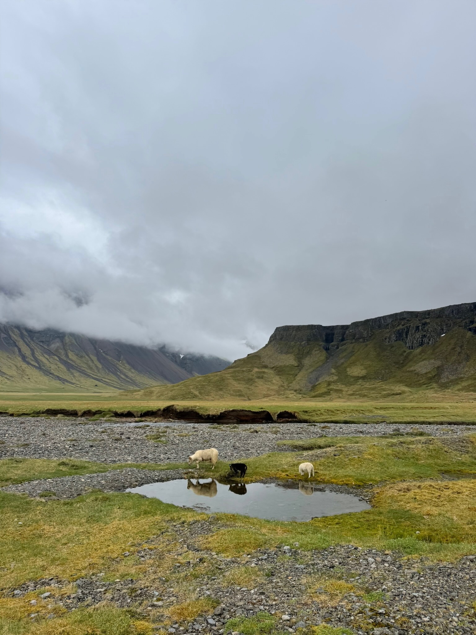Iceland photograph 0629