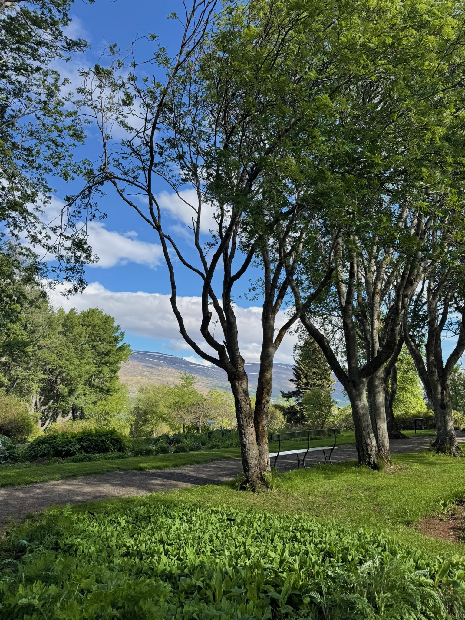 I spent a lot of time writing here—it was so quiet and felt like an escape from the rest of town