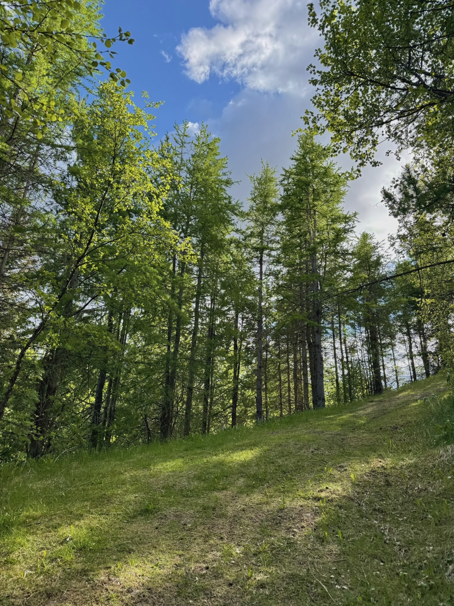 Random nature trails cut through the city of Akureyri, always making for fun detours
