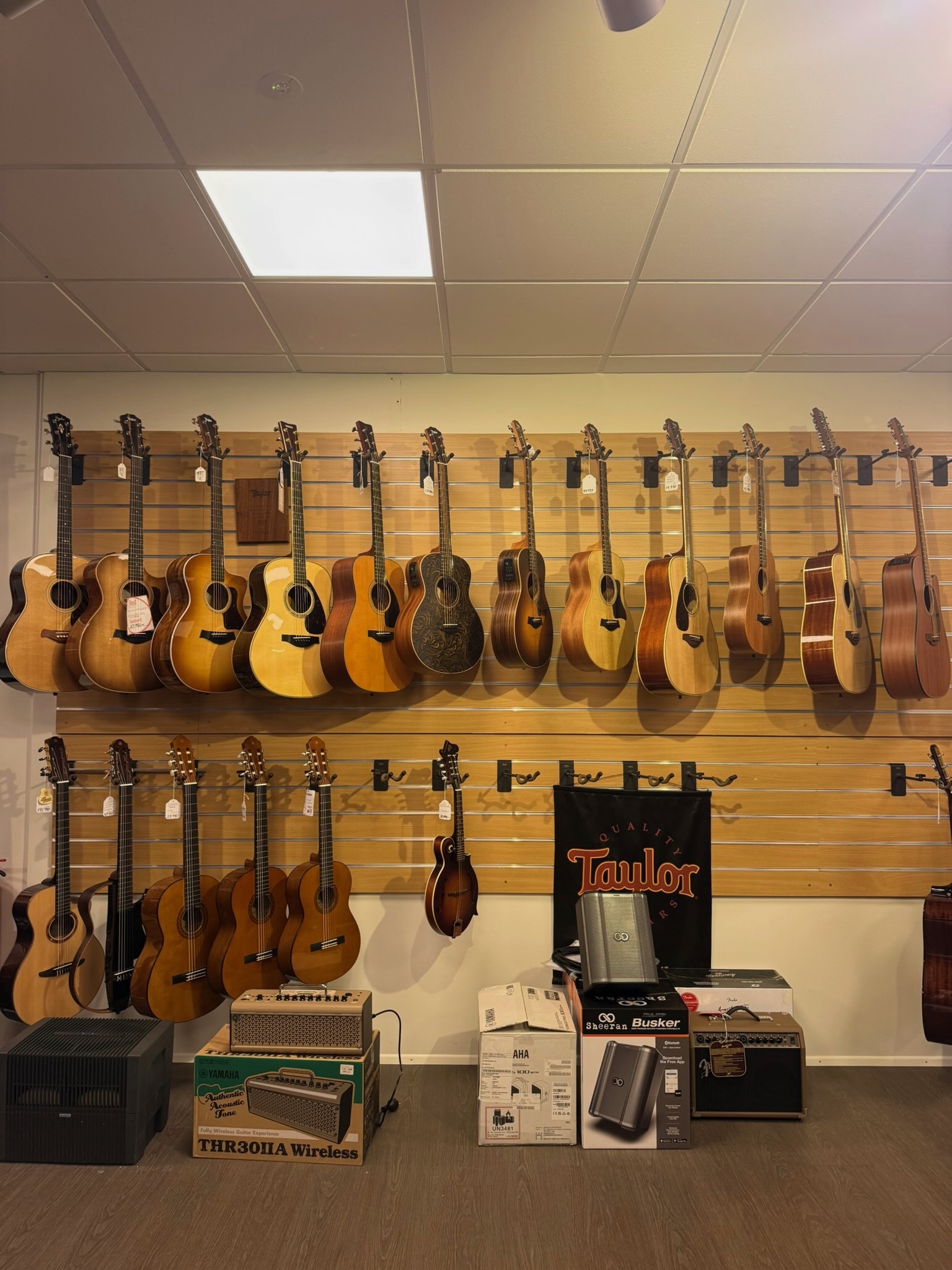 Local music stores always provided me with a comforting and familiar environment