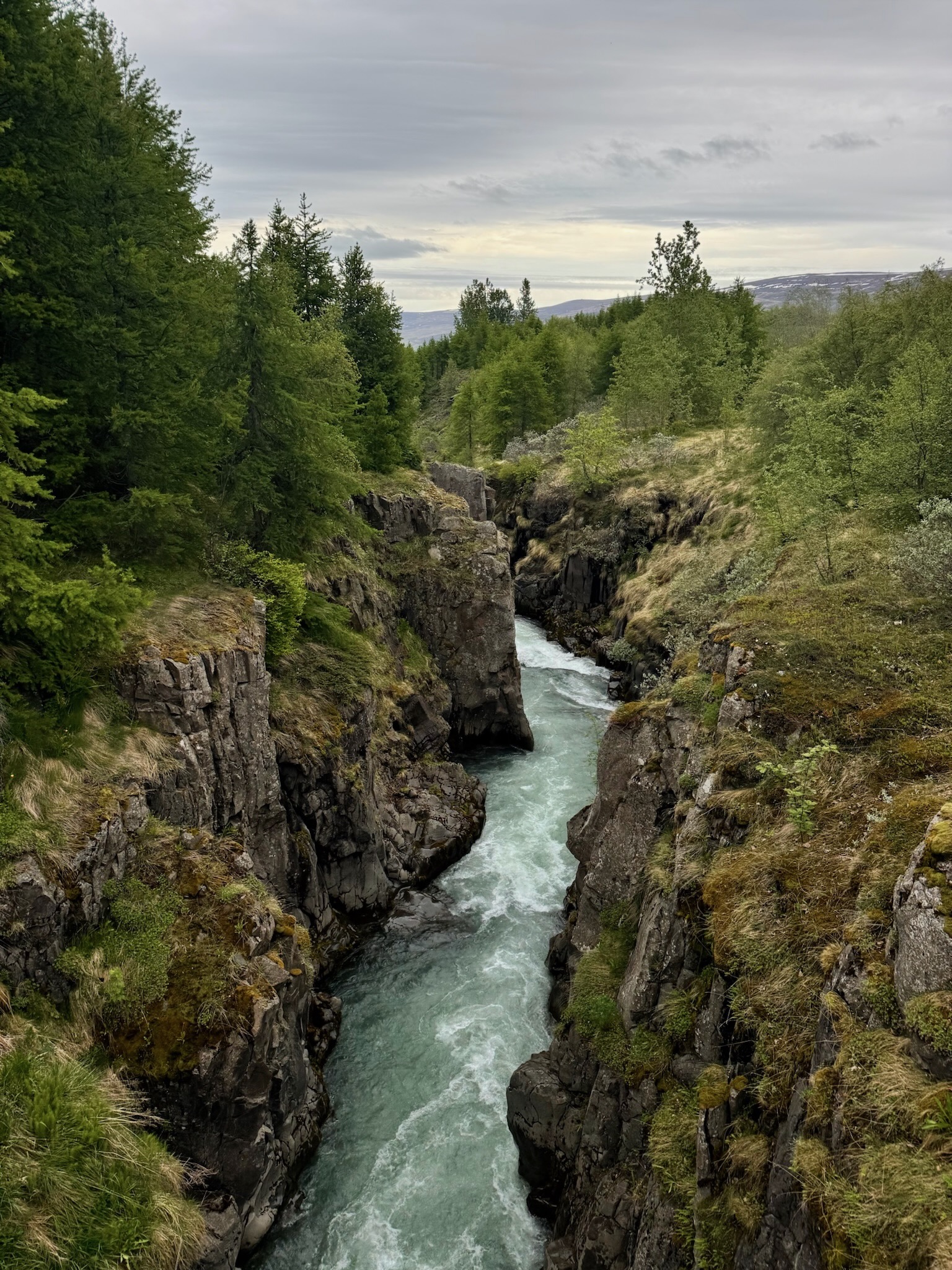 Iceland photograph 1505