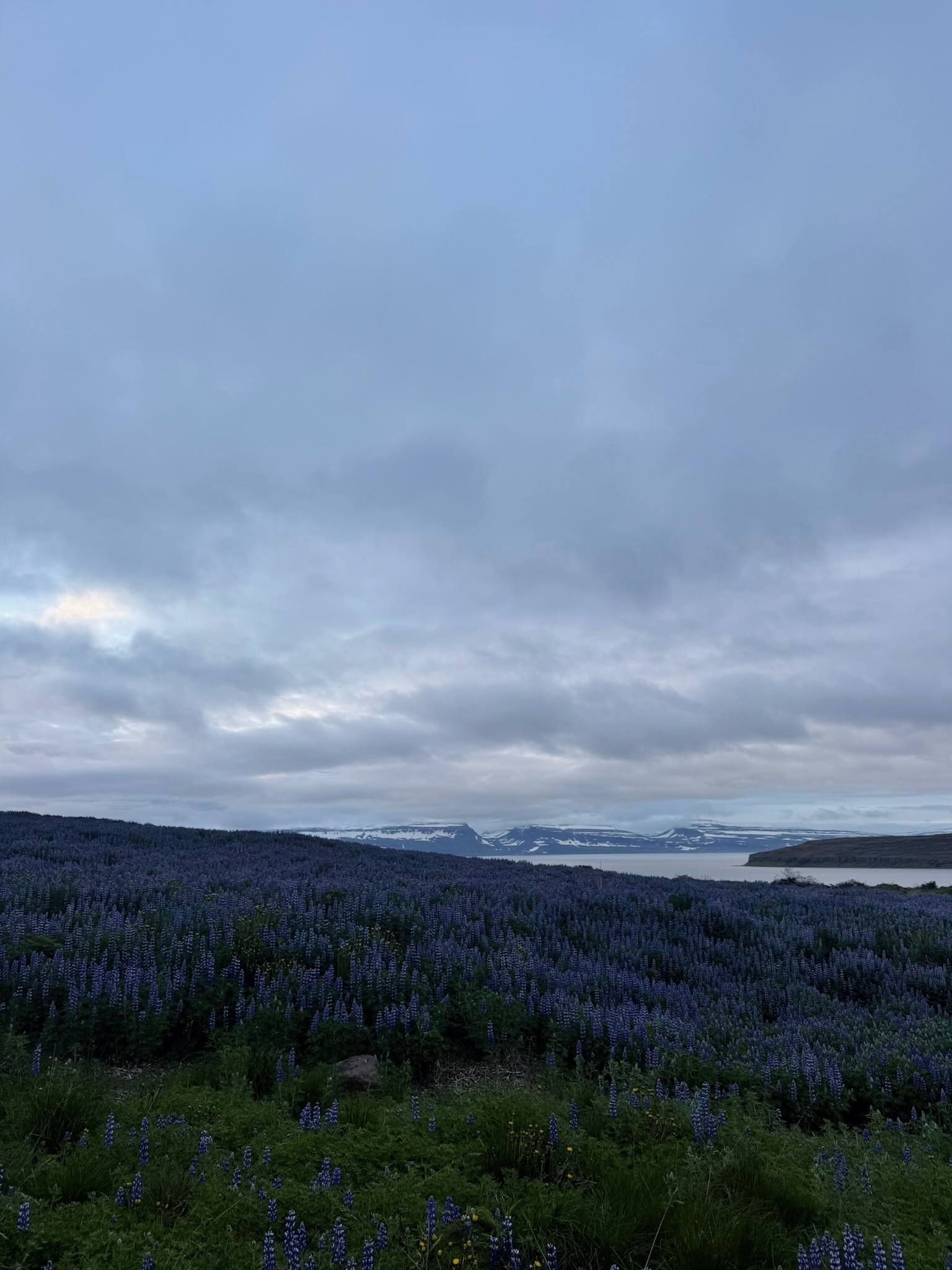 Iceland photograph 2204