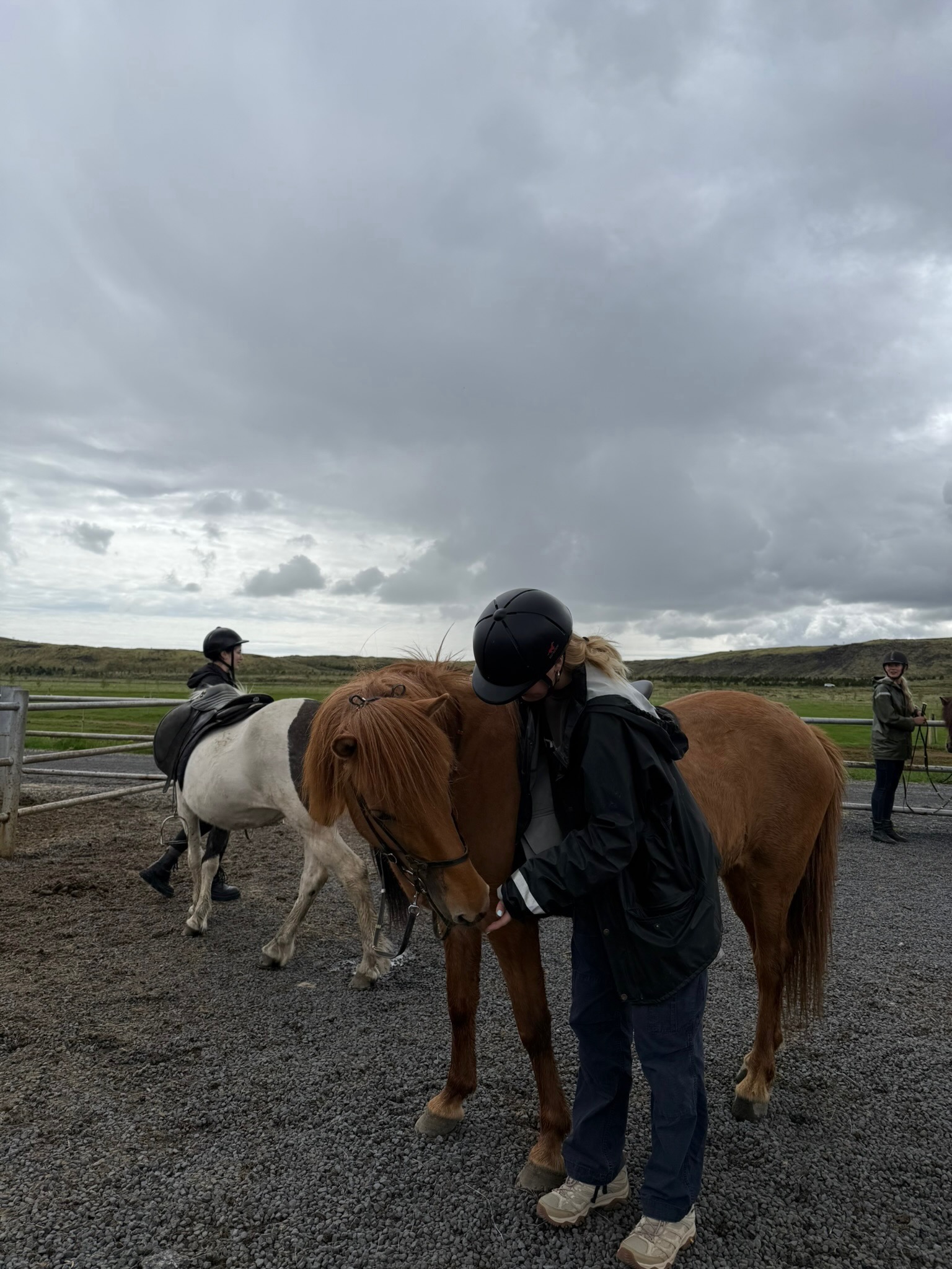 Iceland photograph 8066
