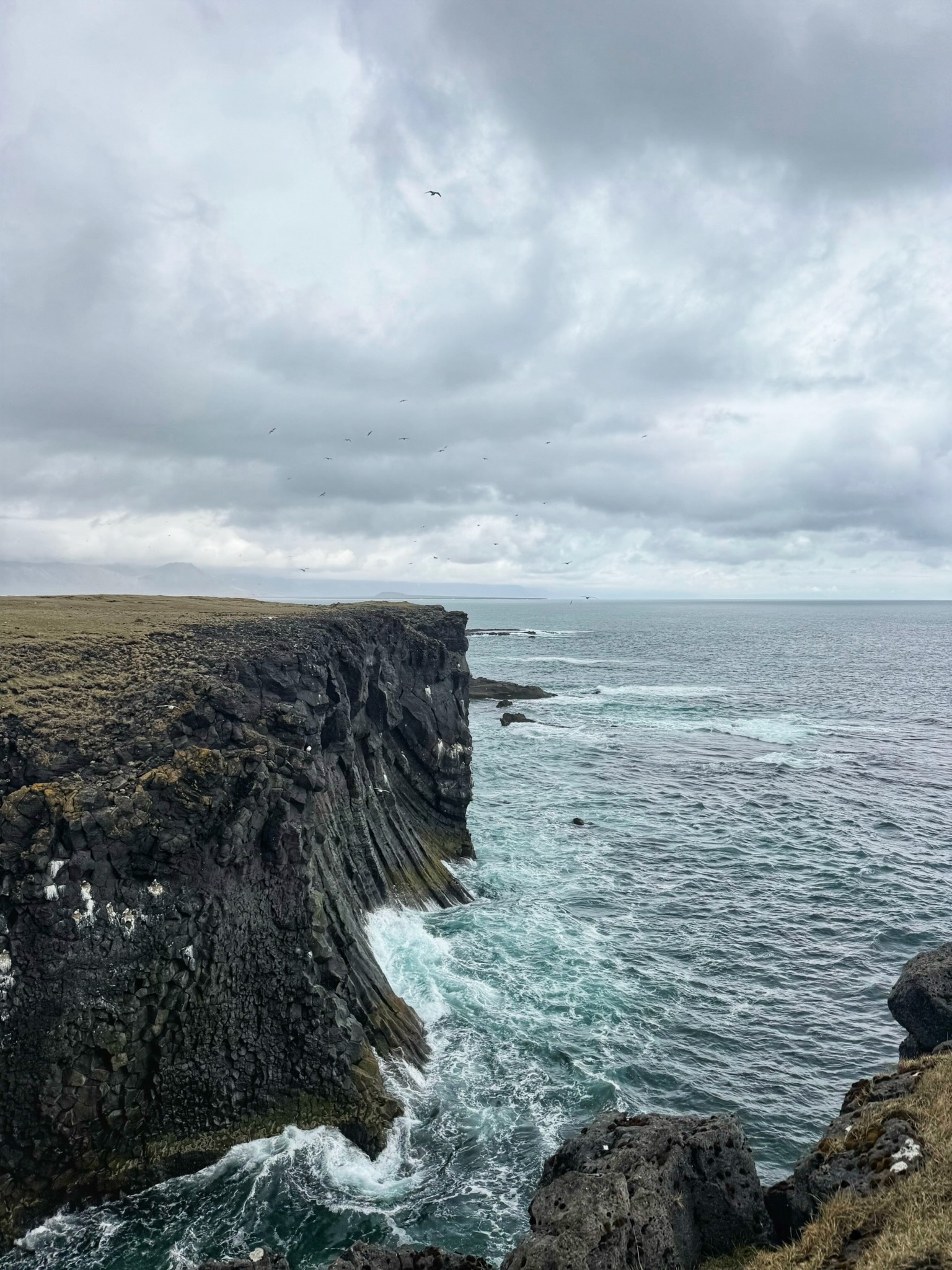The Arnarstapi Cliffs