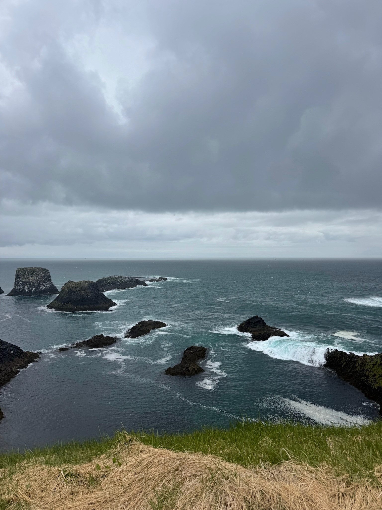 The tides spilling over the rocks at the Arnarstapi Cliffs was mesmerizing—I could've stood there in the cold wind all day