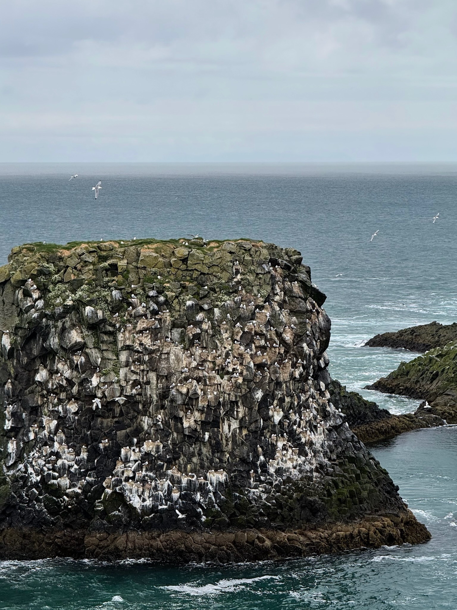 Iceland photograph 9534