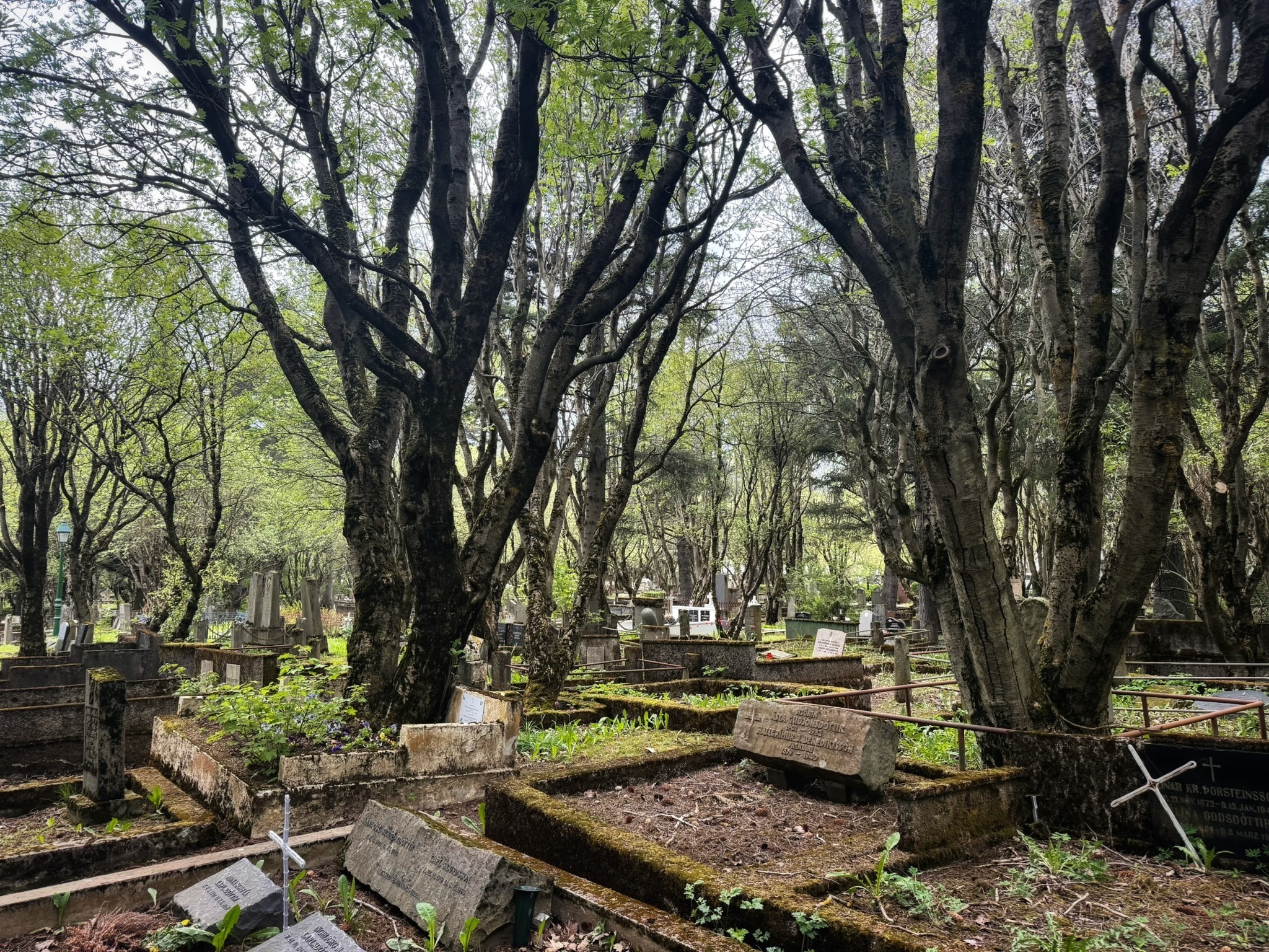 My folklore walking tour included a stroll through Hólavallagarður Cemetery, a historic graveyard in Reykjavík